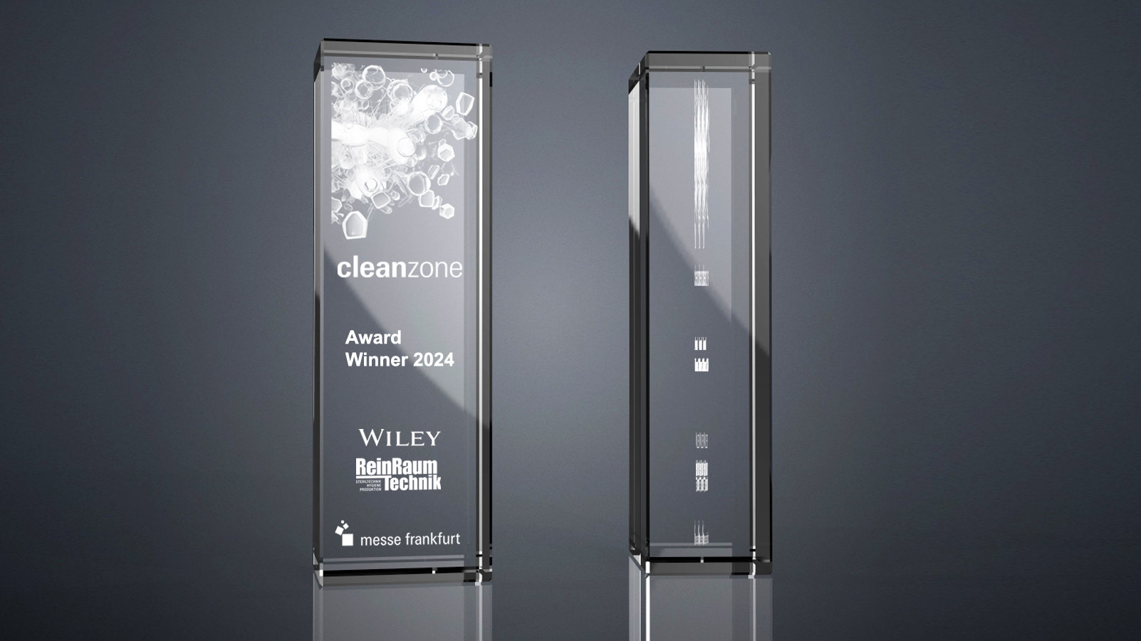 Cleanzone Award